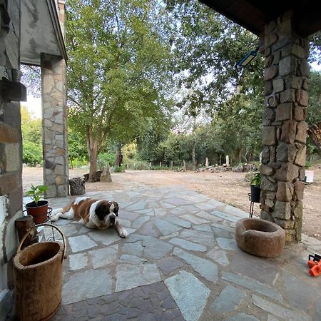 Agriturismo Pranu Sorgono Экстерьер фото