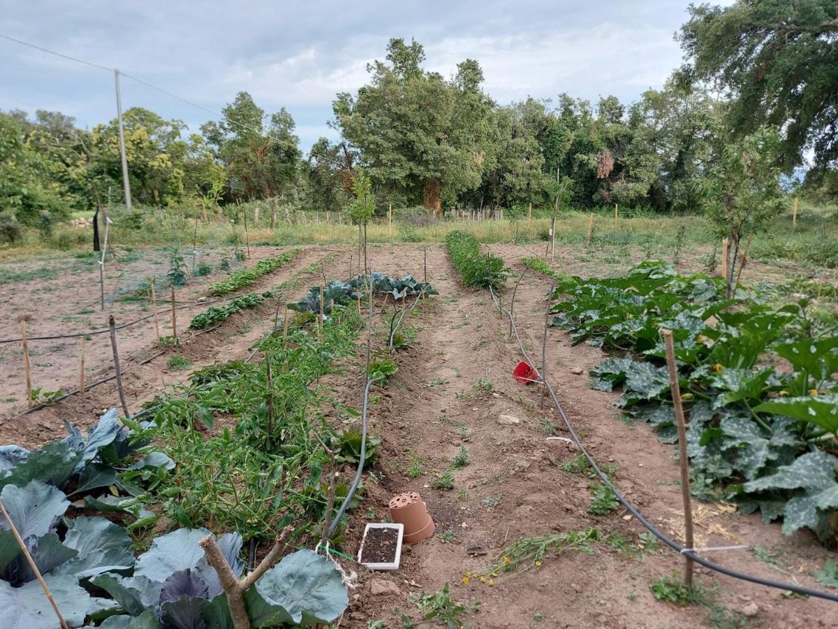 Agriturismo Pranu Sorgono Экстерьер фото