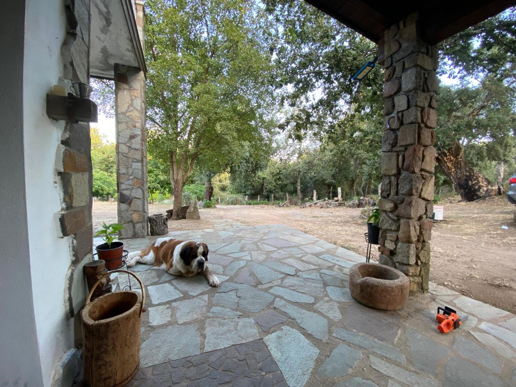 Agriturismo Pranu Sorgono Экстерьер фото