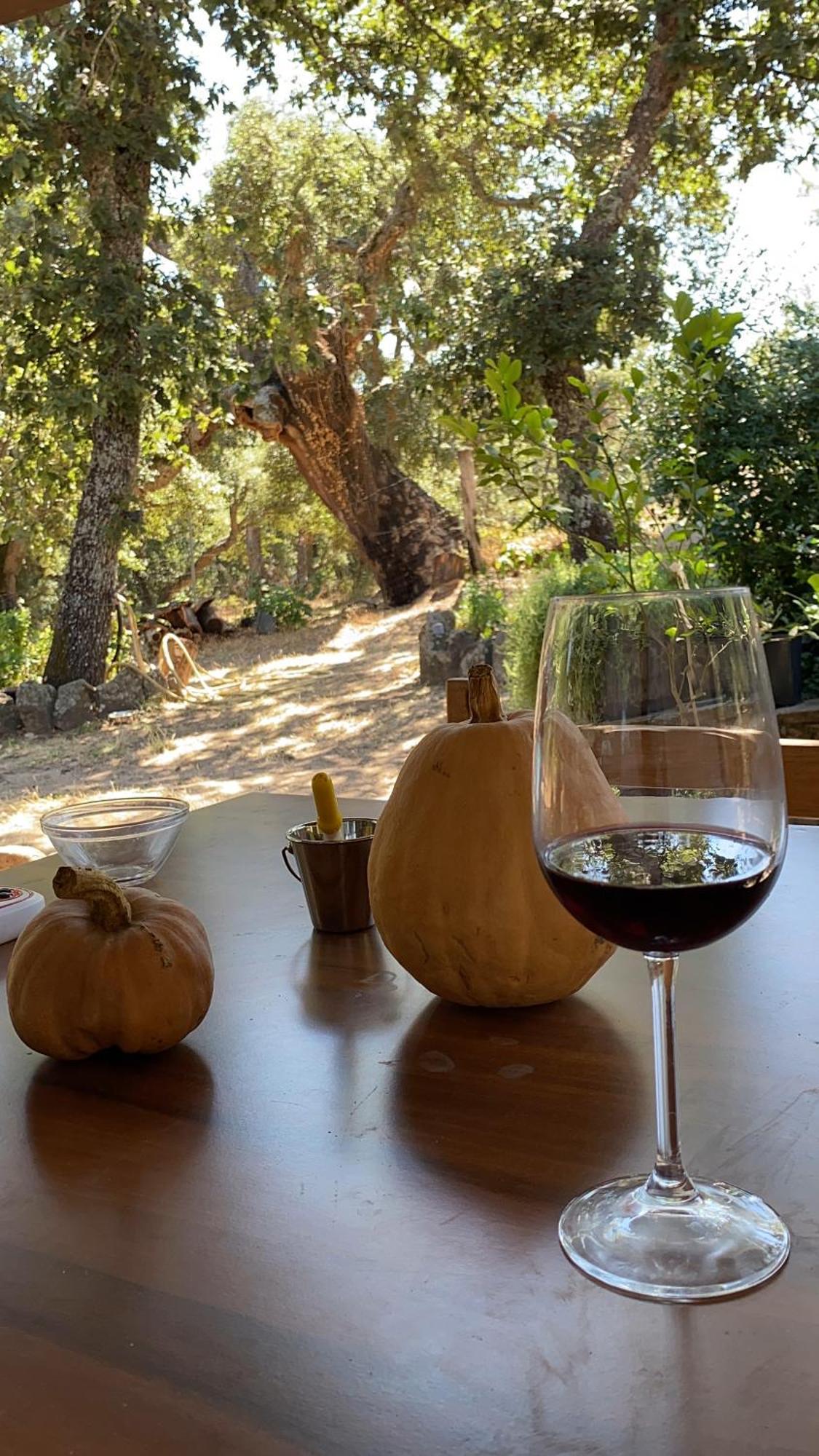Agriturismo Pranu Sorgono Экстерьер фото