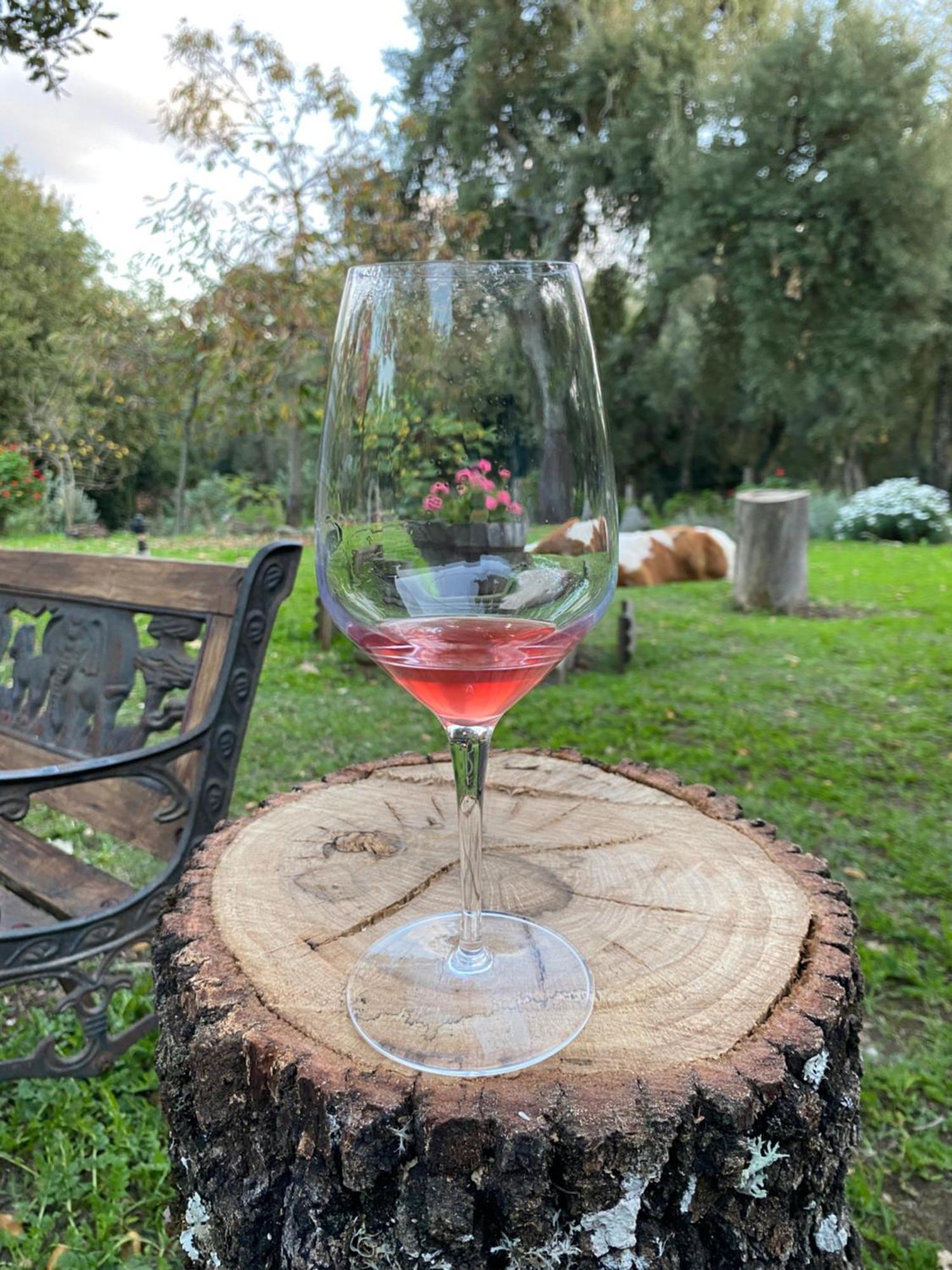 Agriturismo Pranu Sorgono Экстерьер фото