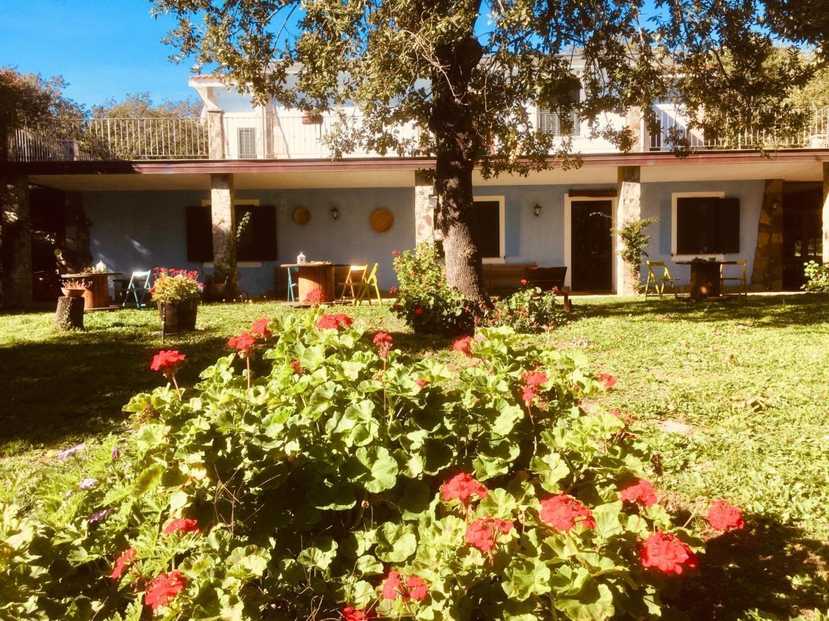 Agriturismo Pranu Sorgono Экстерьер фото